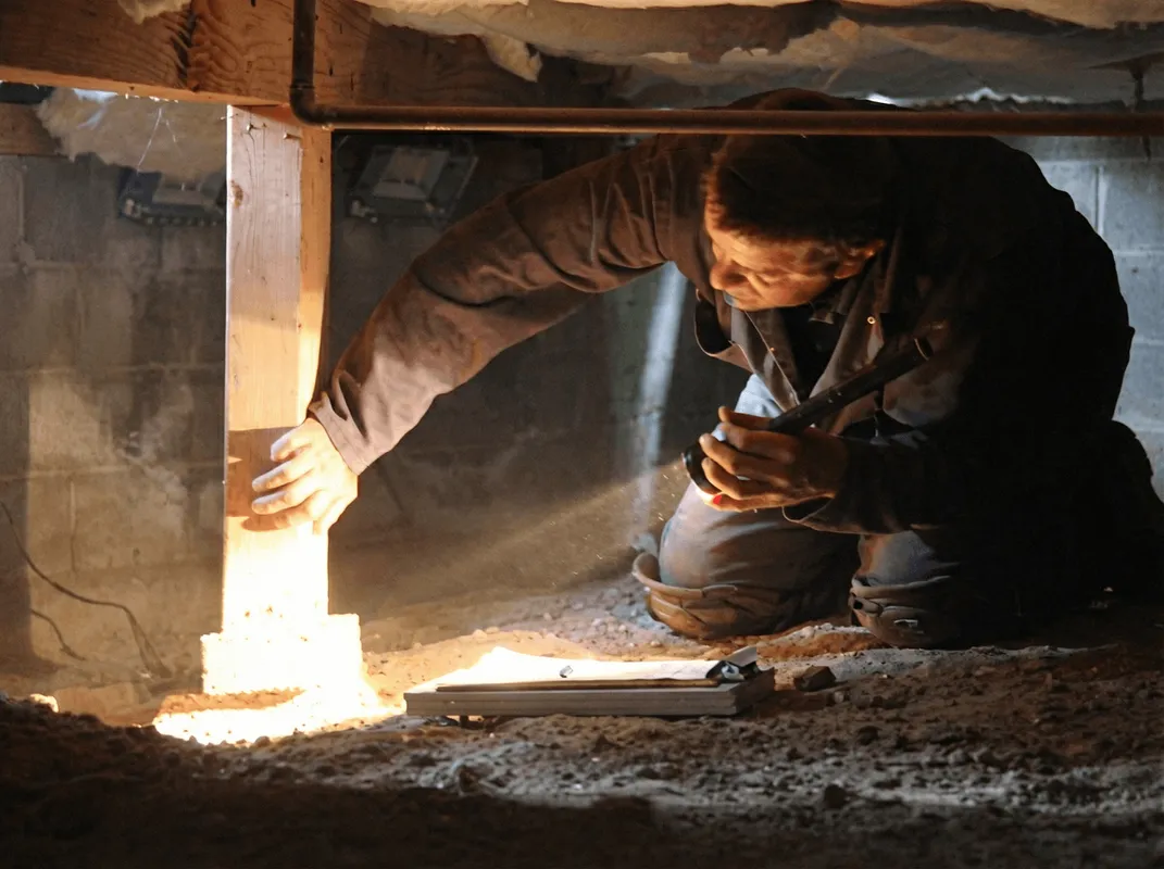 A professional inspecting wooden beams under the floor of a structure in Peoria, IL